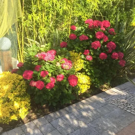 Quinta Forum アパート *