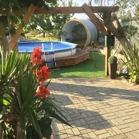 アパート Quinta Forum トーシャ