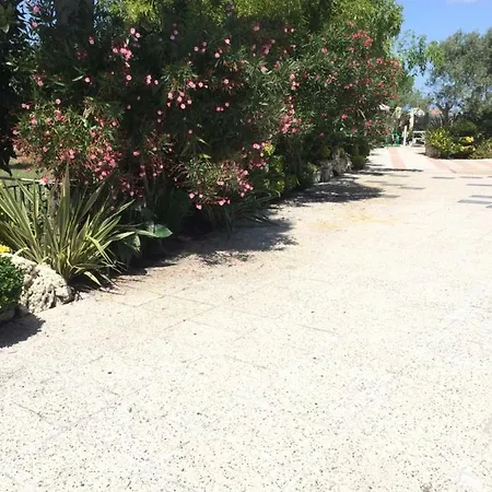 Quinta Forum