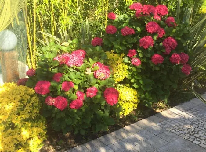 Quinta Forum Lejlighed *