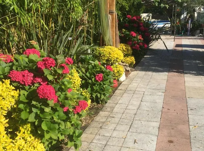 Quinta Forum Тоша