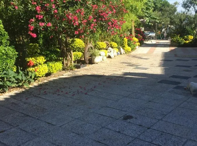 Lejlighed Quinta Forum *