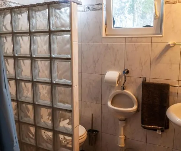 Quinta Forum Тоша