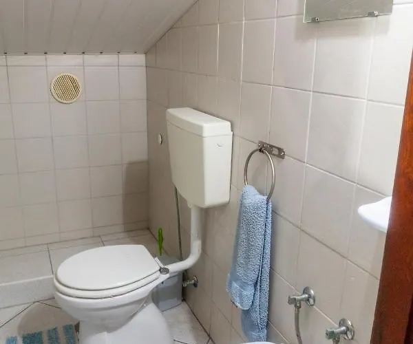 Quinta Forum * Тоша