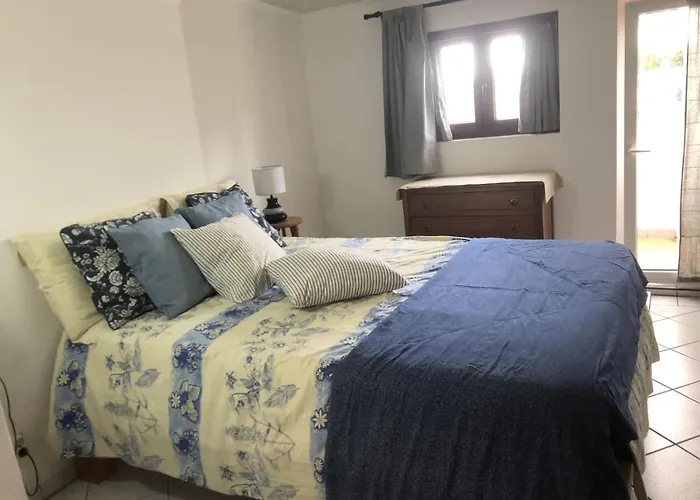 Quinta Forum * Тоша