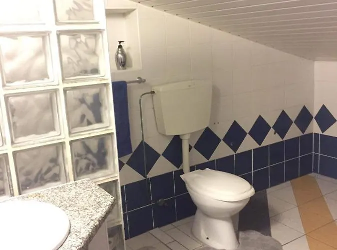 Quinta Forum * Тоша